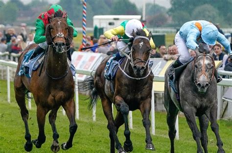 king's stand stakes trends|King Charles III Stakes Tips (Formerly King’s Stand Stakes).